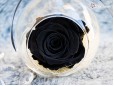 Glob sticla cu Trandafir Criogenat